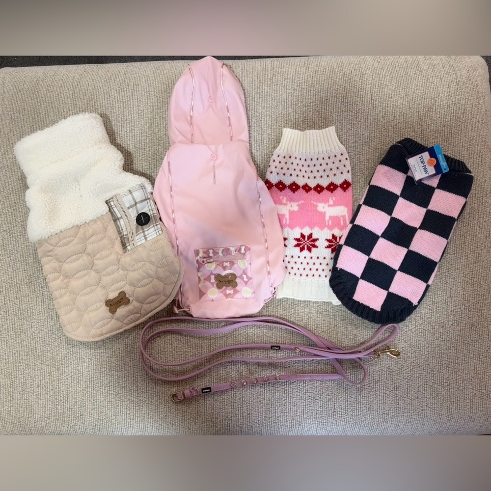 New Stylish Pink and Cream Dog Clothing Set and Leash with matching collar